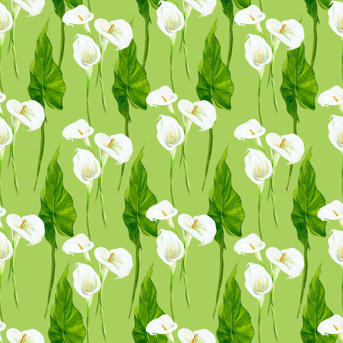Calla Lily Baby Arrangement - Wrapping Paper