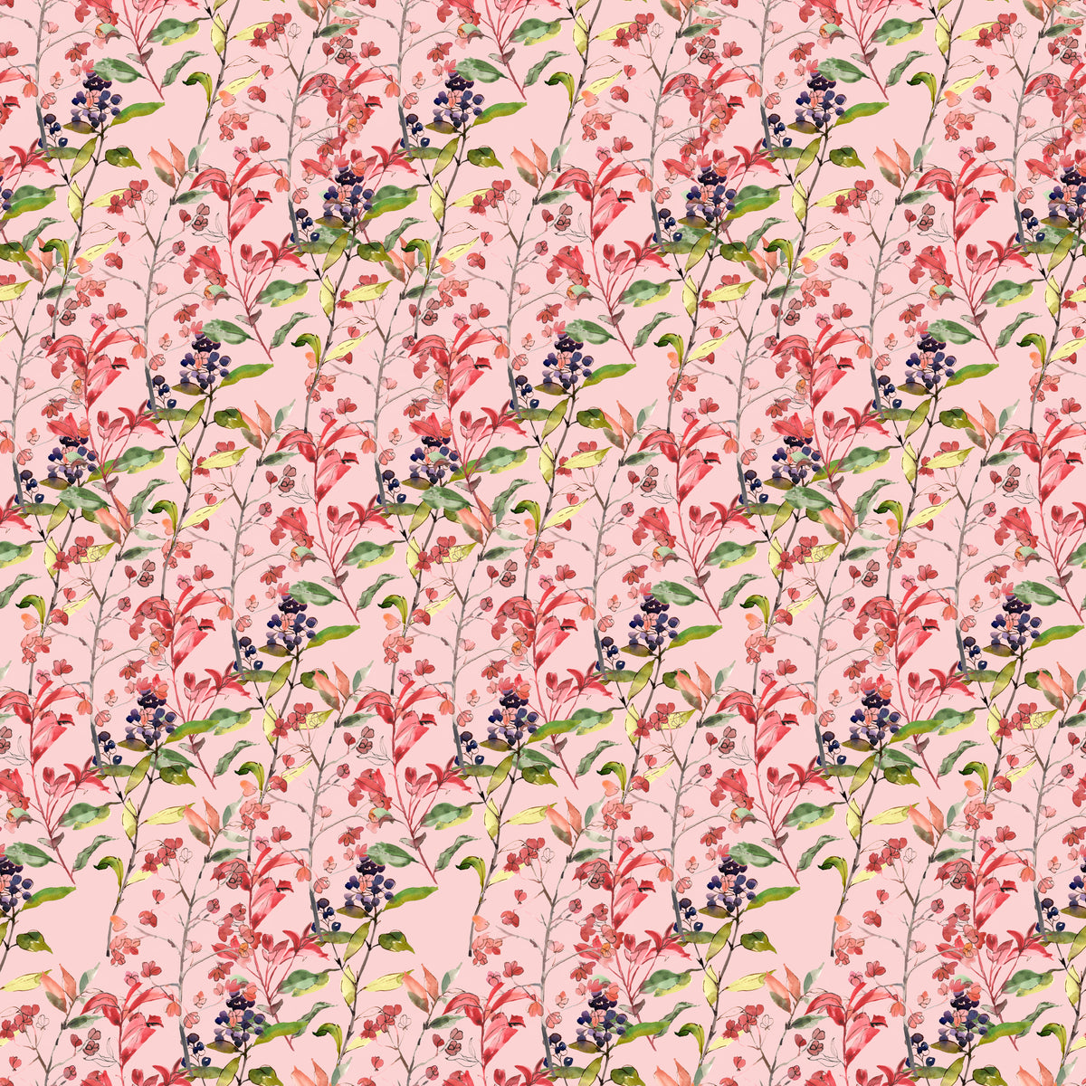 Wildberries and Sprouts - Wrapping Paper