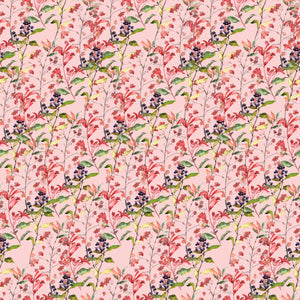 Wildberries and Sprouts - Wrapping Paper