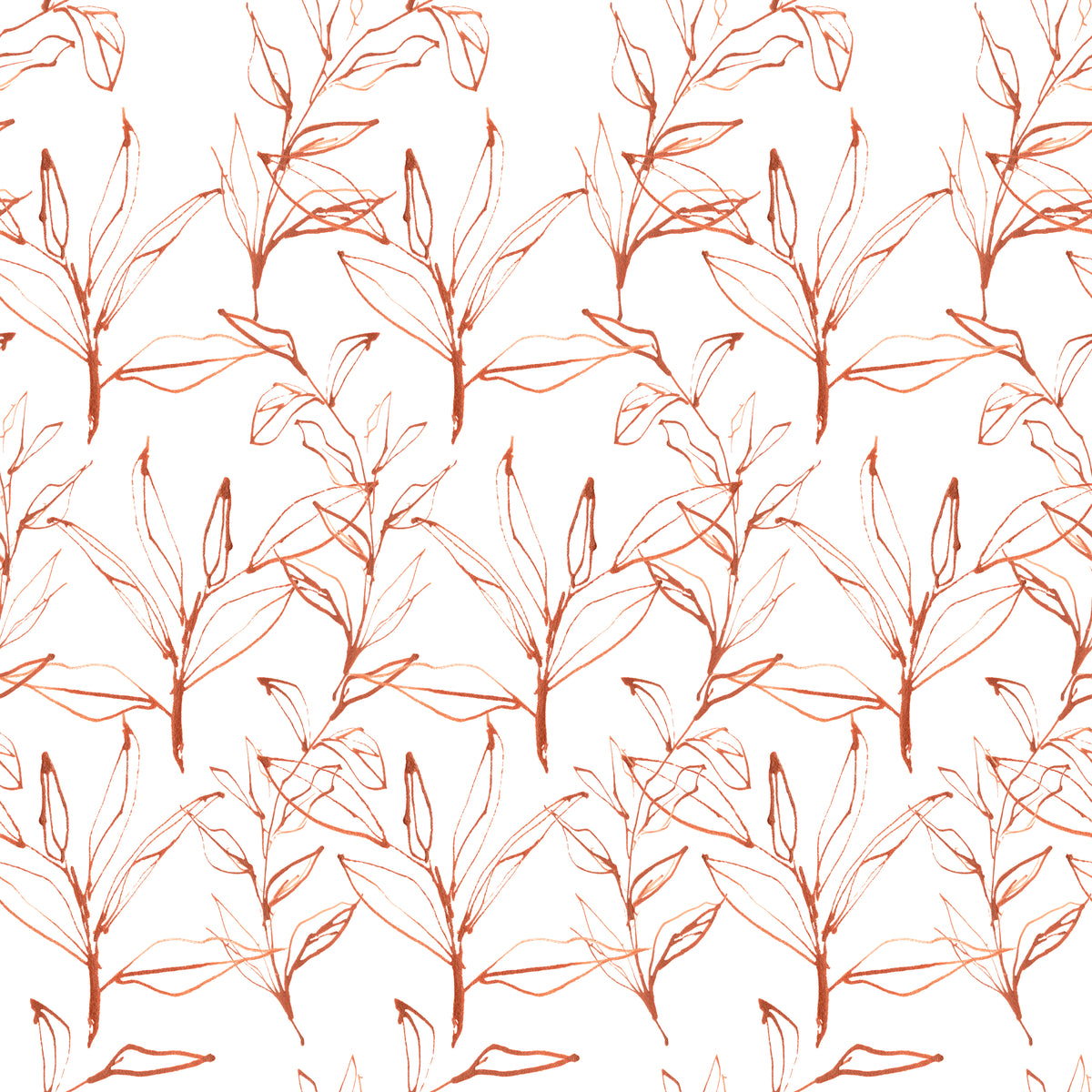 Wildberry Sprouts - Wrapping Paper