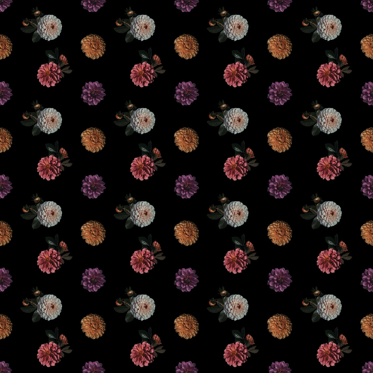 Night Dahlias in Suspense - Wrapping Paper