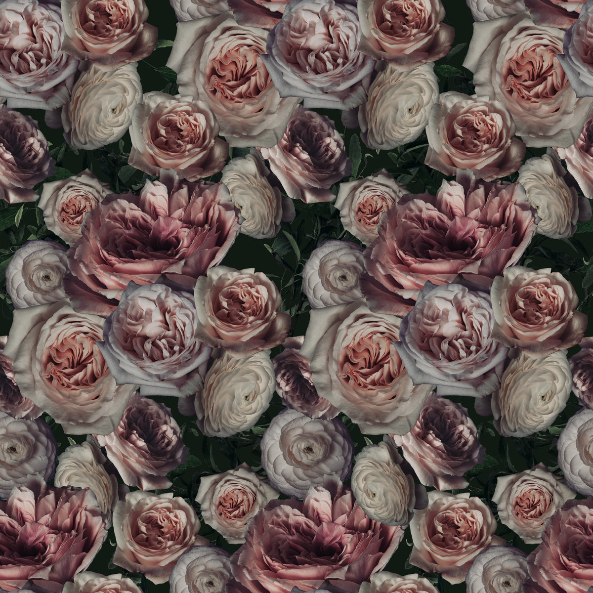Roses Everywhere - Wrapping Paper