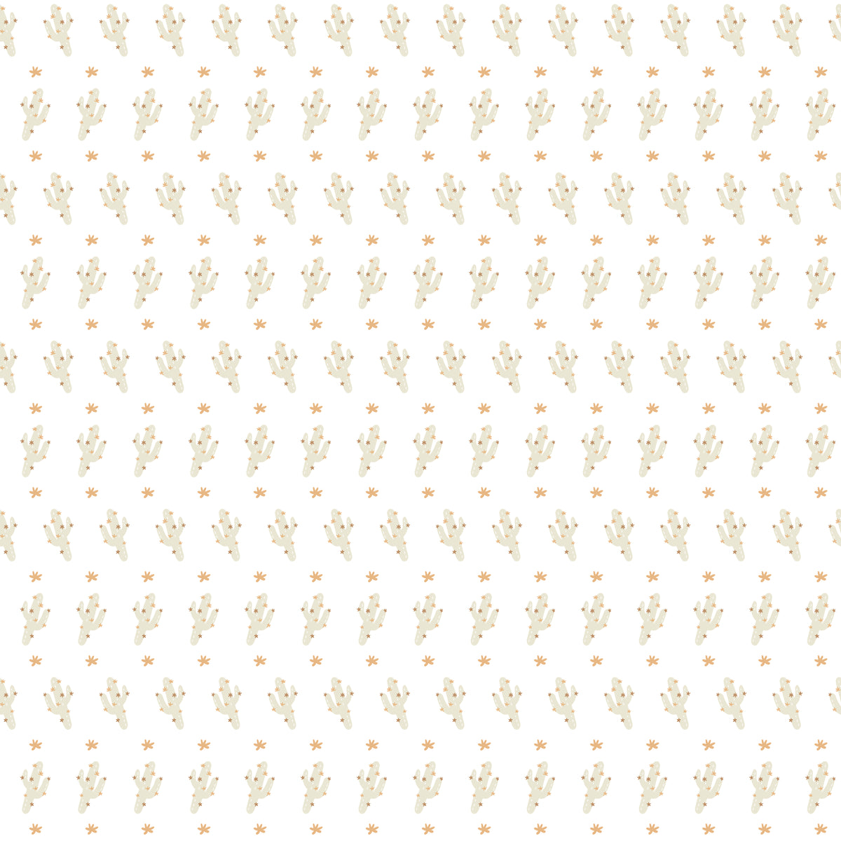 Cactus Blankie - Wrapping Paper