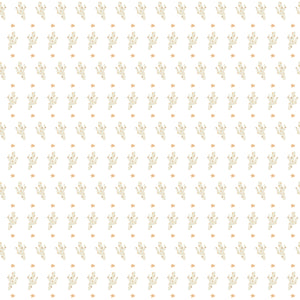 Cactus Blankie - Wrapping Paper