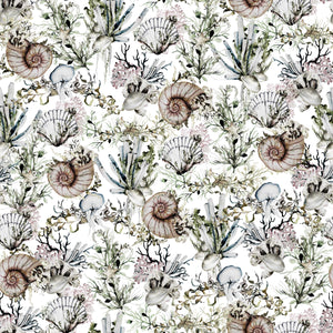 Nautical Shells - Wrapping Paper