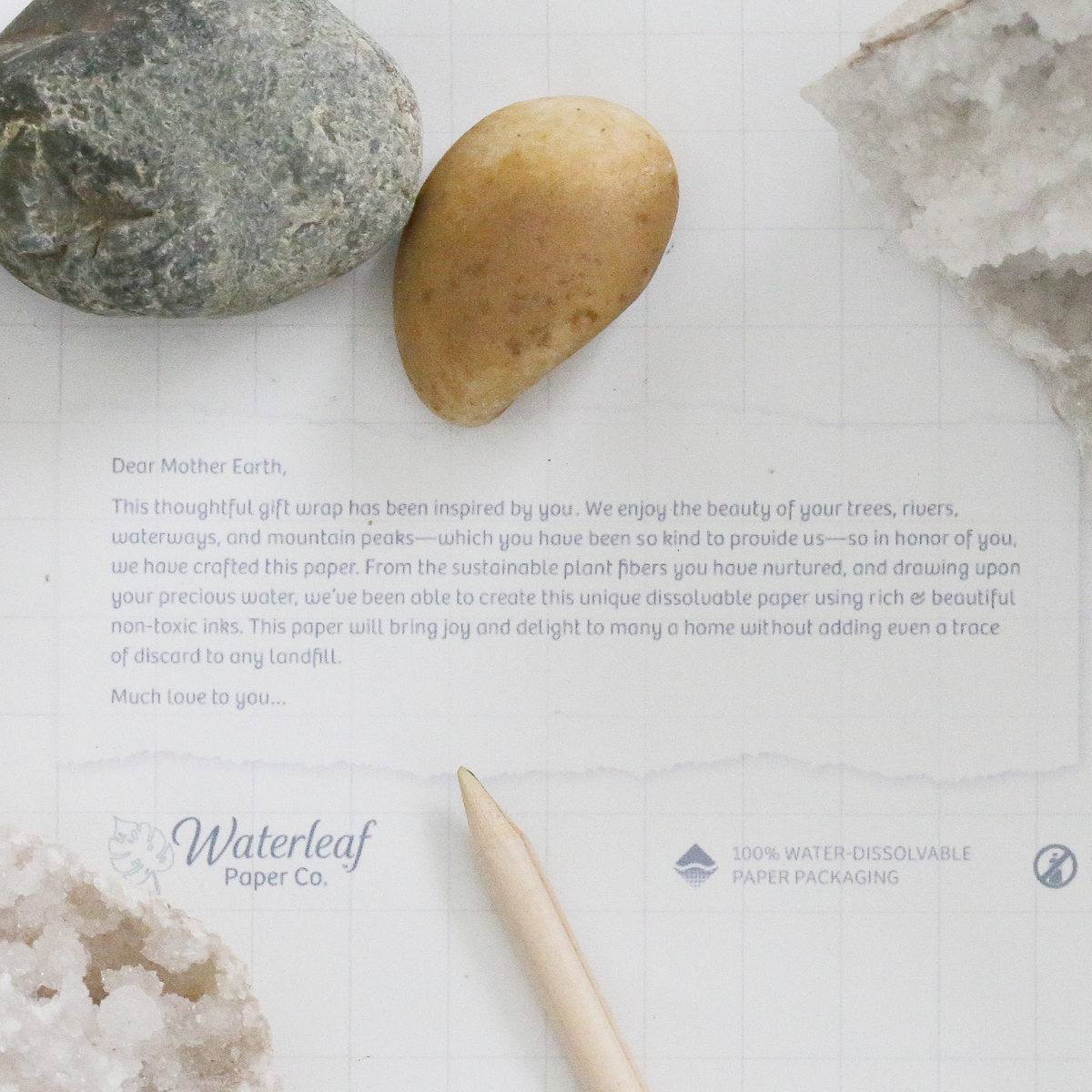 Alice's Tea Party & All It's Wonderment - Wrapping Paper