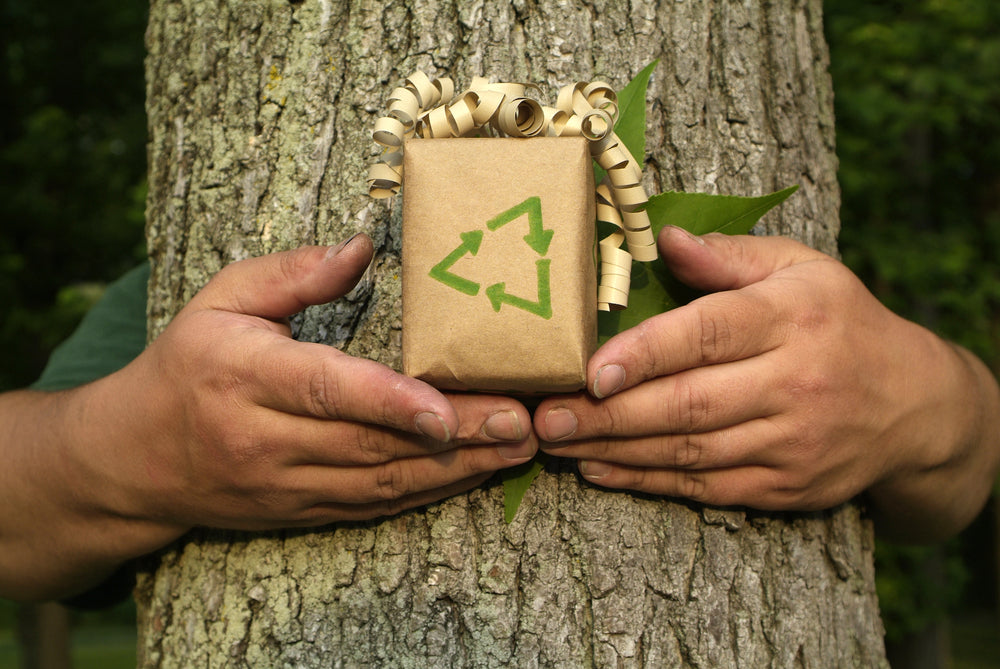 8 Awesome Eco-Friendly Gift Ideas
