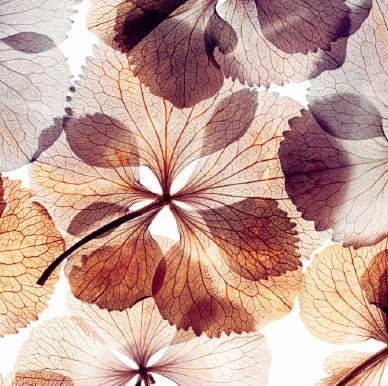 Sustainable Unique Wrapping Paper