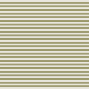 White wrapping paper with green stripes