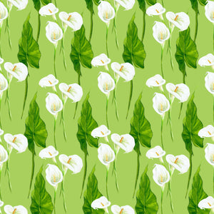 Calla Lily Baby Arrangement  - Wrapping Paper