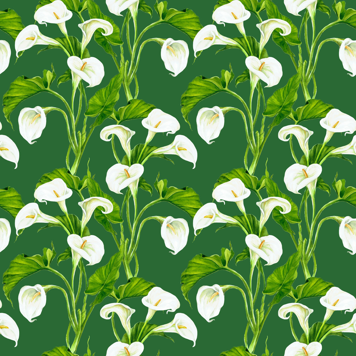 Calla Lily Loose Arrangement - Wrapping Paper