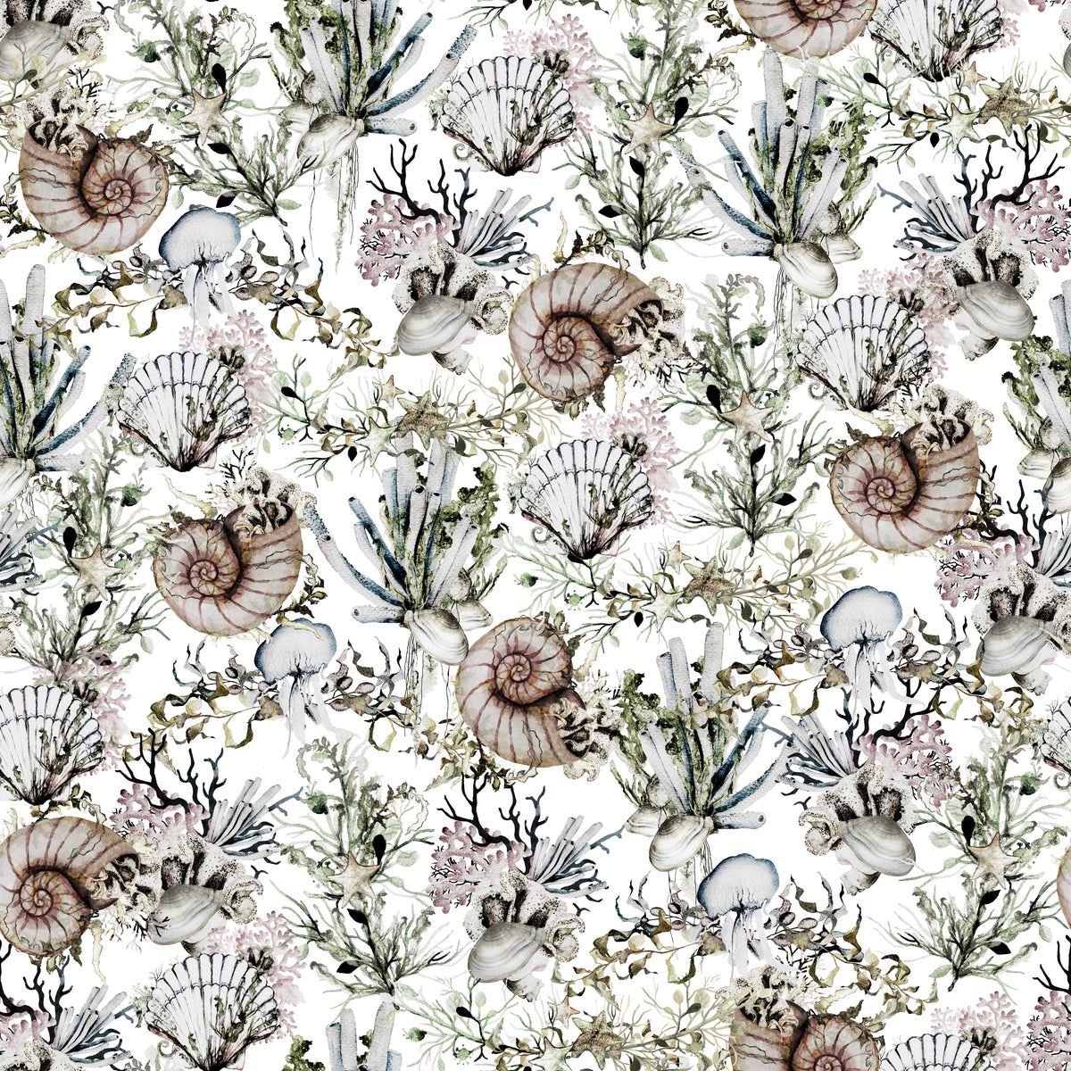 Nautical Shells - Wrapping Paper